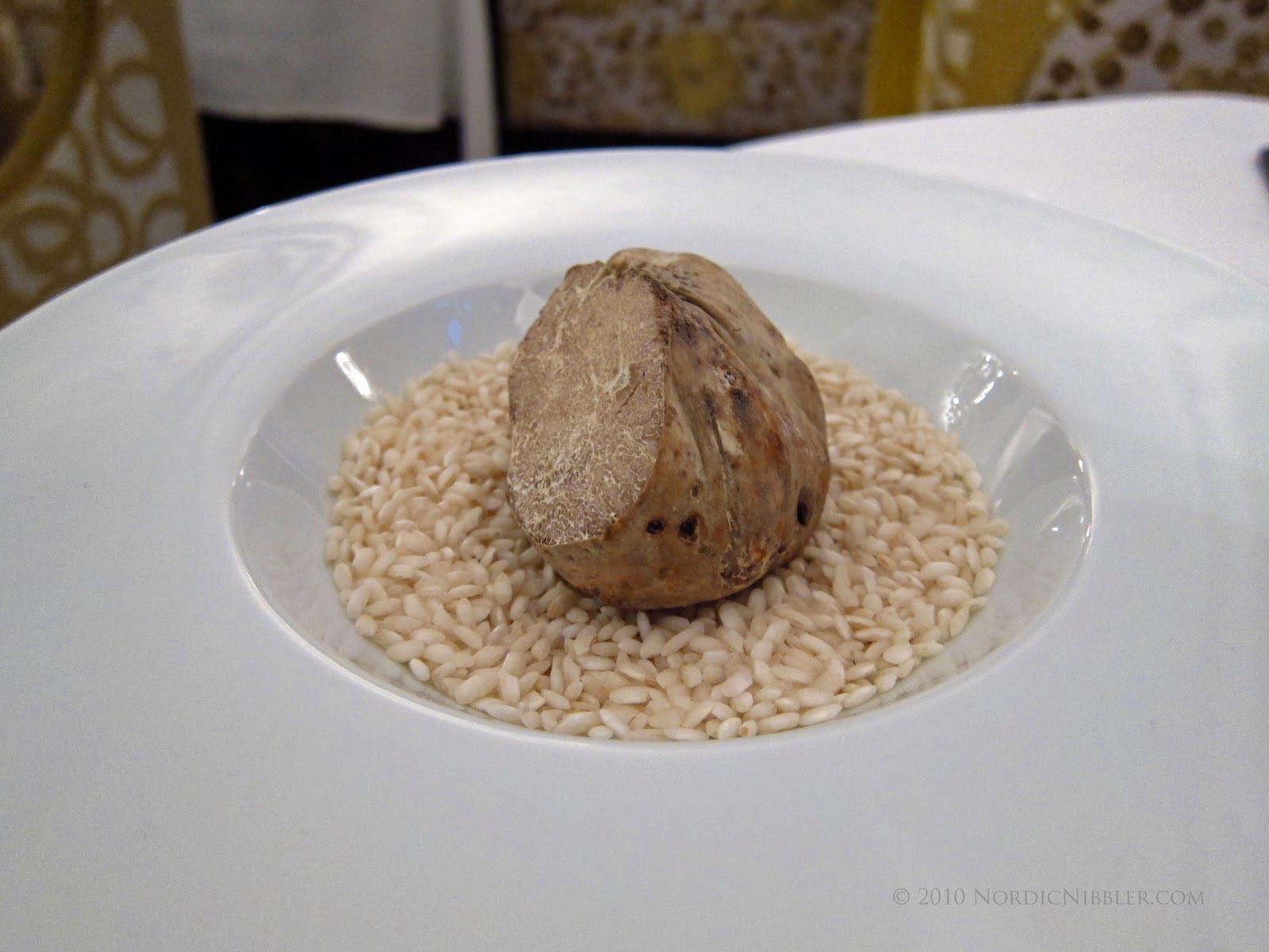 Alba Truffle-----Erin Herock