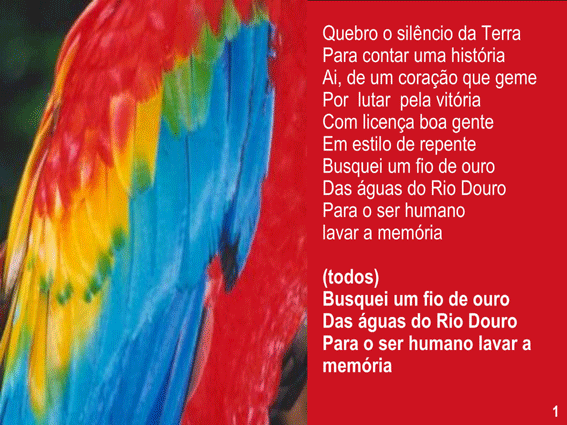 [Slide3.gif]