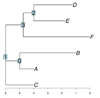 Neighbor-joining in Python: doing the plot - xiaofeng1982 - Tiger-Leon