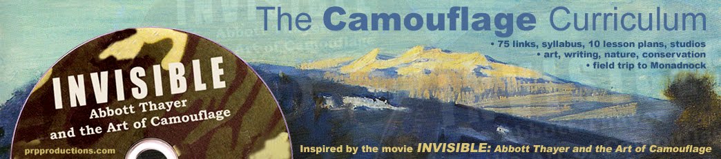 New Camouflage Curriculum - Invisible: Abbott Thayer and the Art of Camouflage