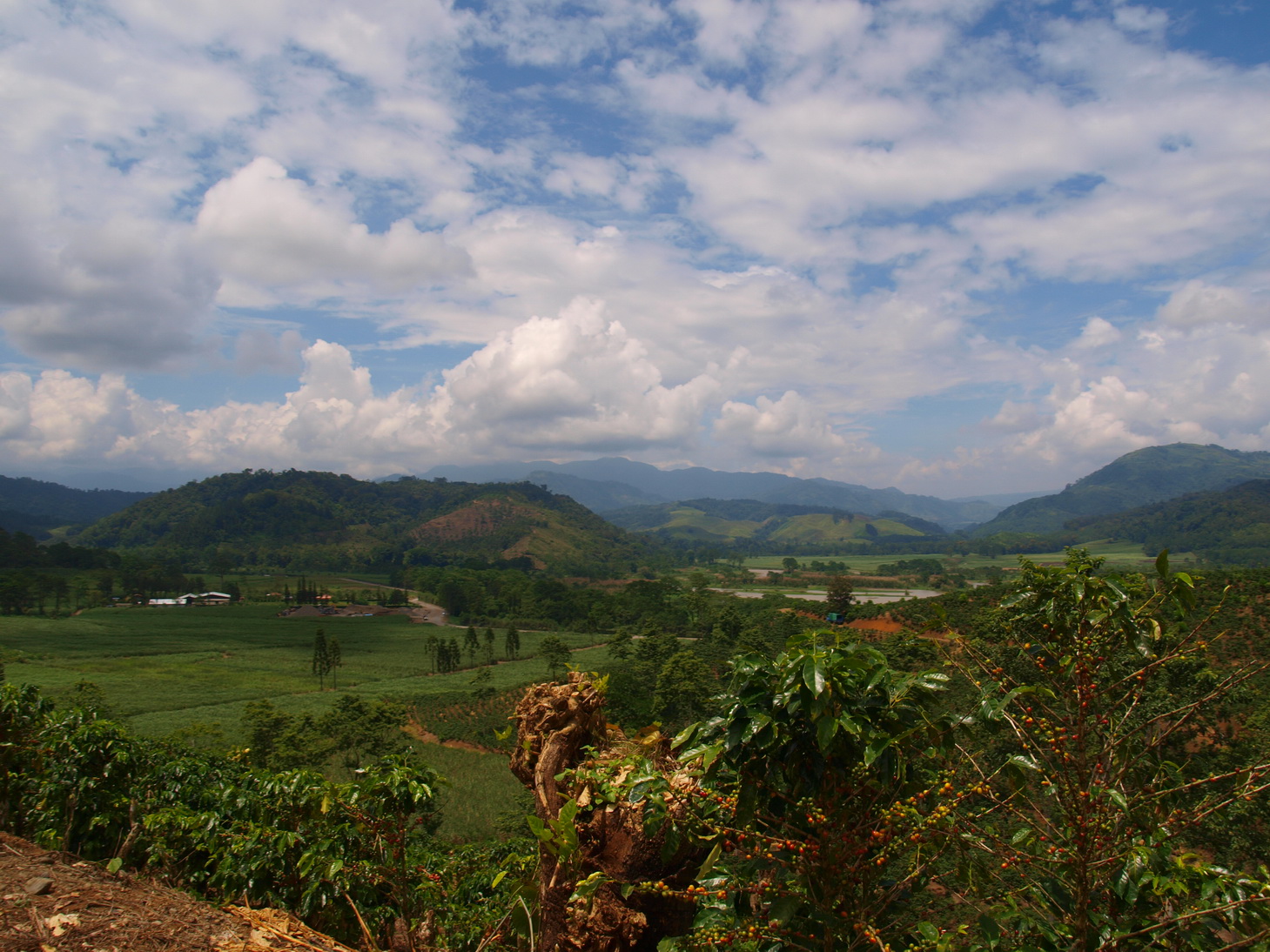 [P9170793.JPG]