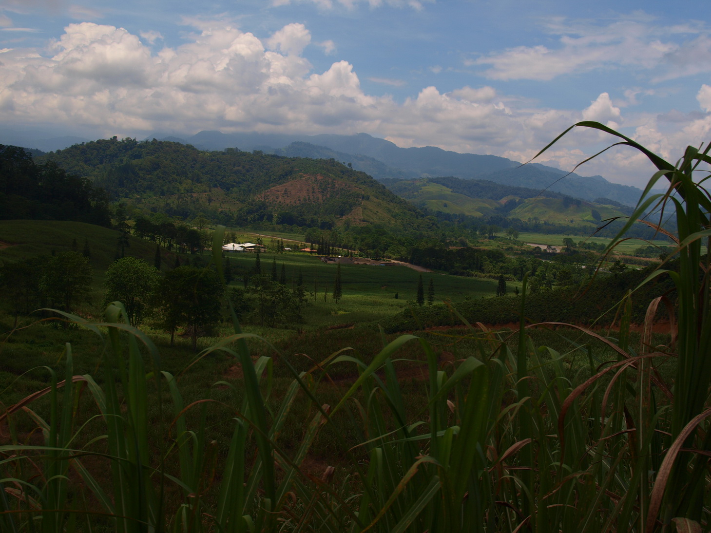 [P9170816.JPG]