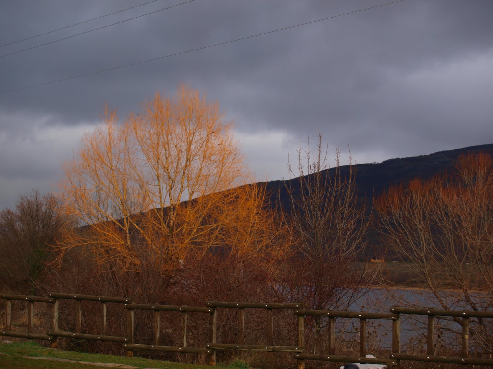 [P1172171.JPG]