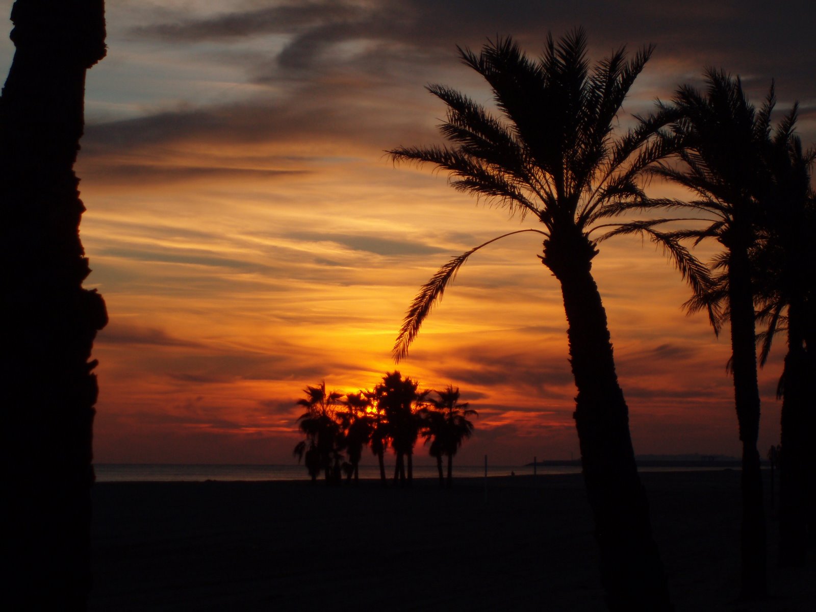 [atardecer.JPG]