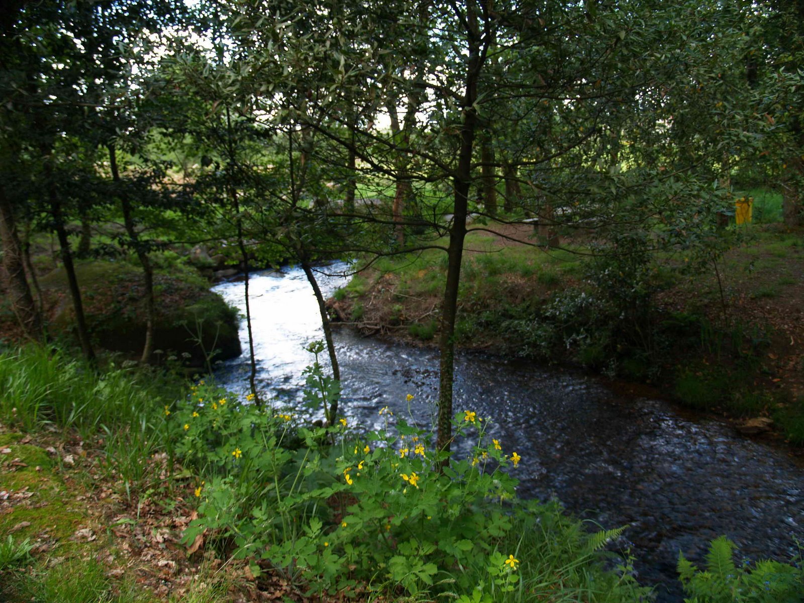 [P4250783.JPG]