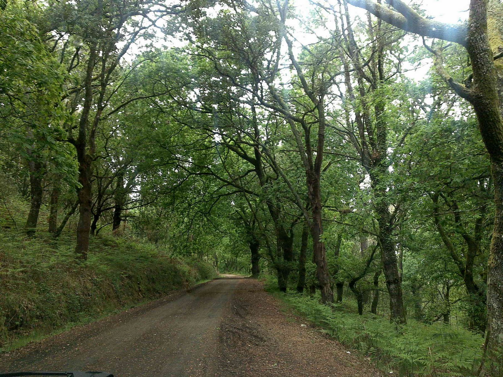[24042009191.jpg]