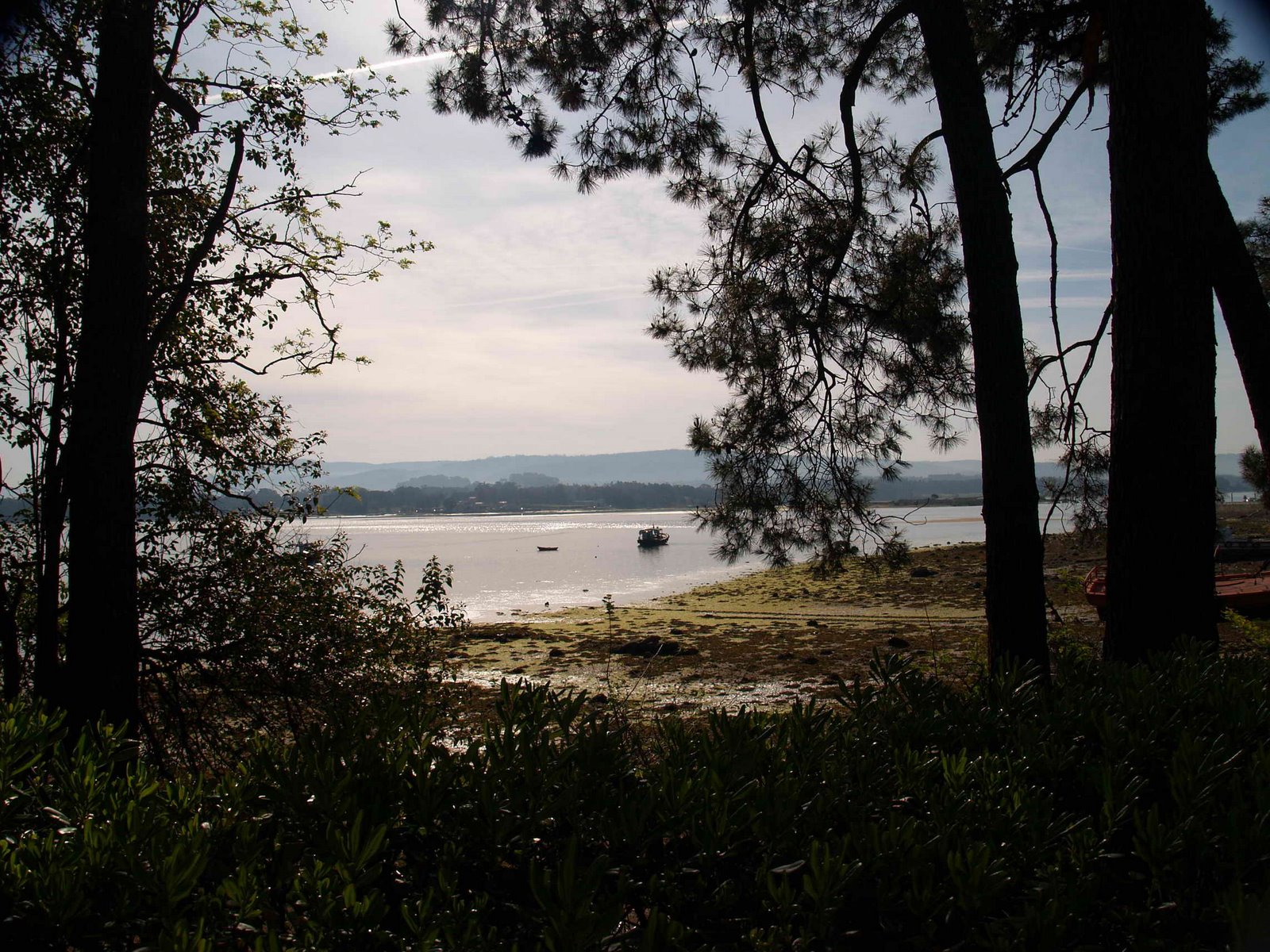 [P4230559.JPG]