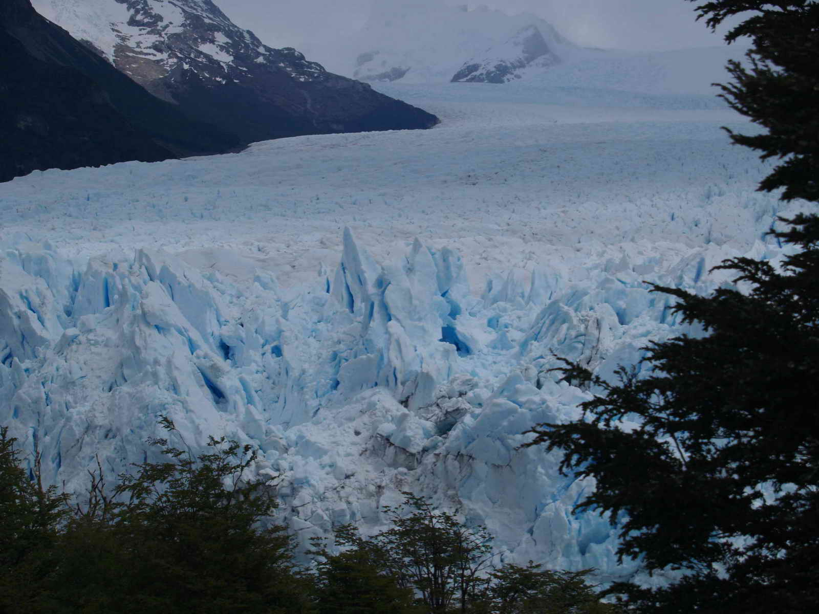 [ARGENTINA20071110_33.JPG]