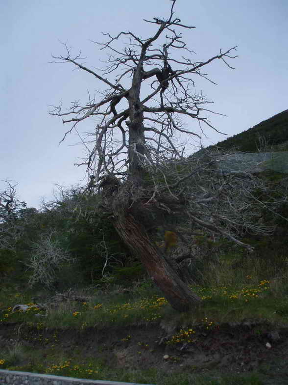 [ARGENTINA20071110_75.JPG]