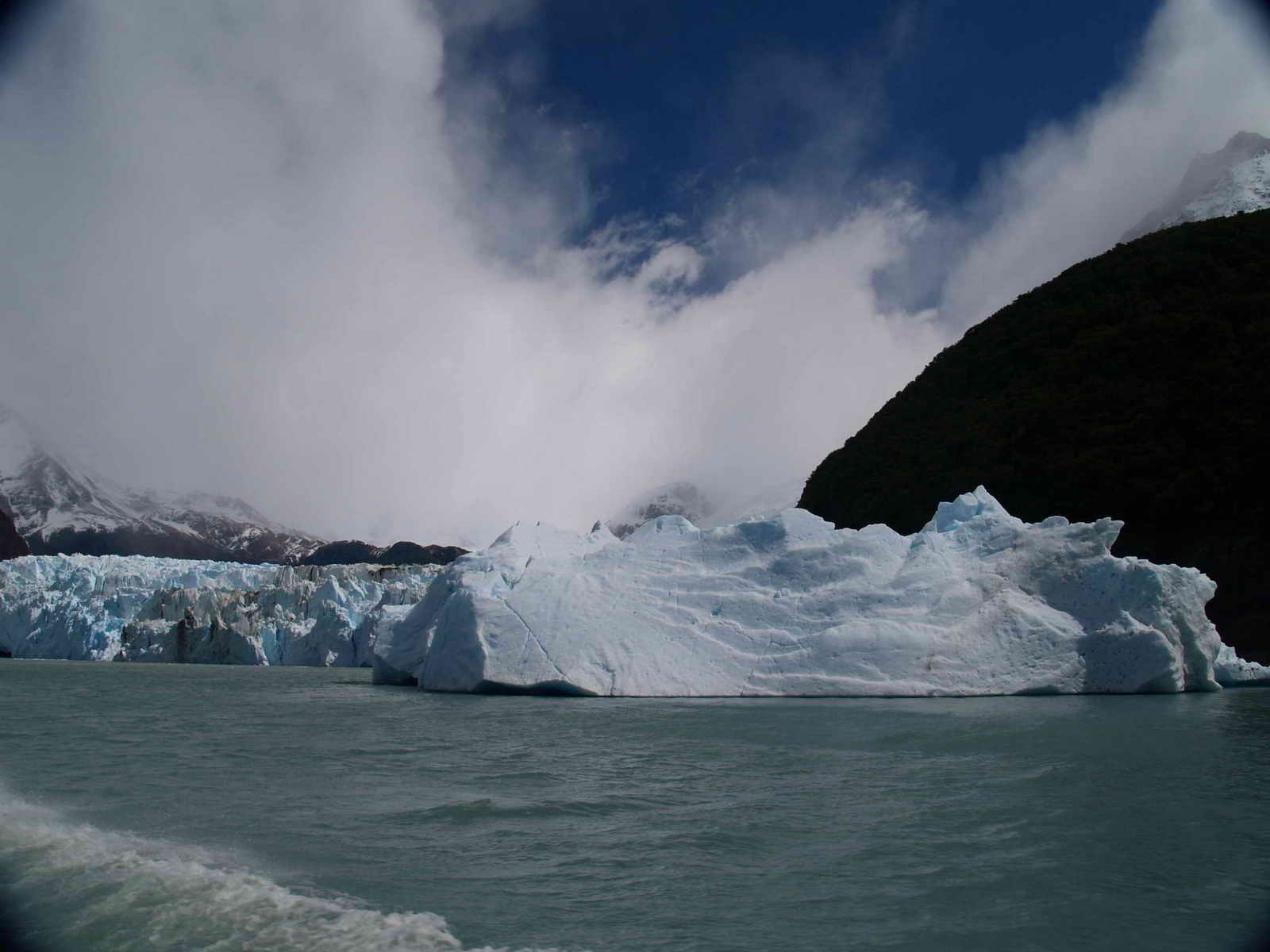 [ARGENTINA20071111_156.JPG]
