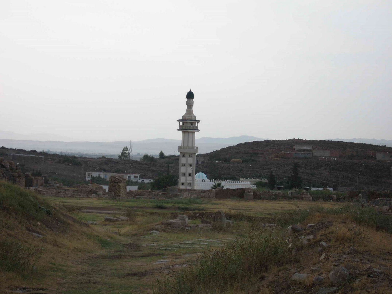 [IMG_0921.JPG]