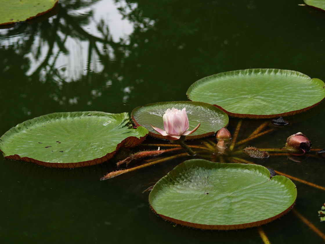 [PB053636.JPG]