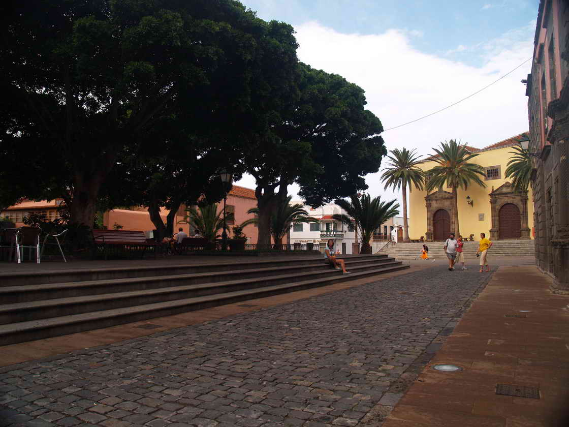 [PA313009.JPG]