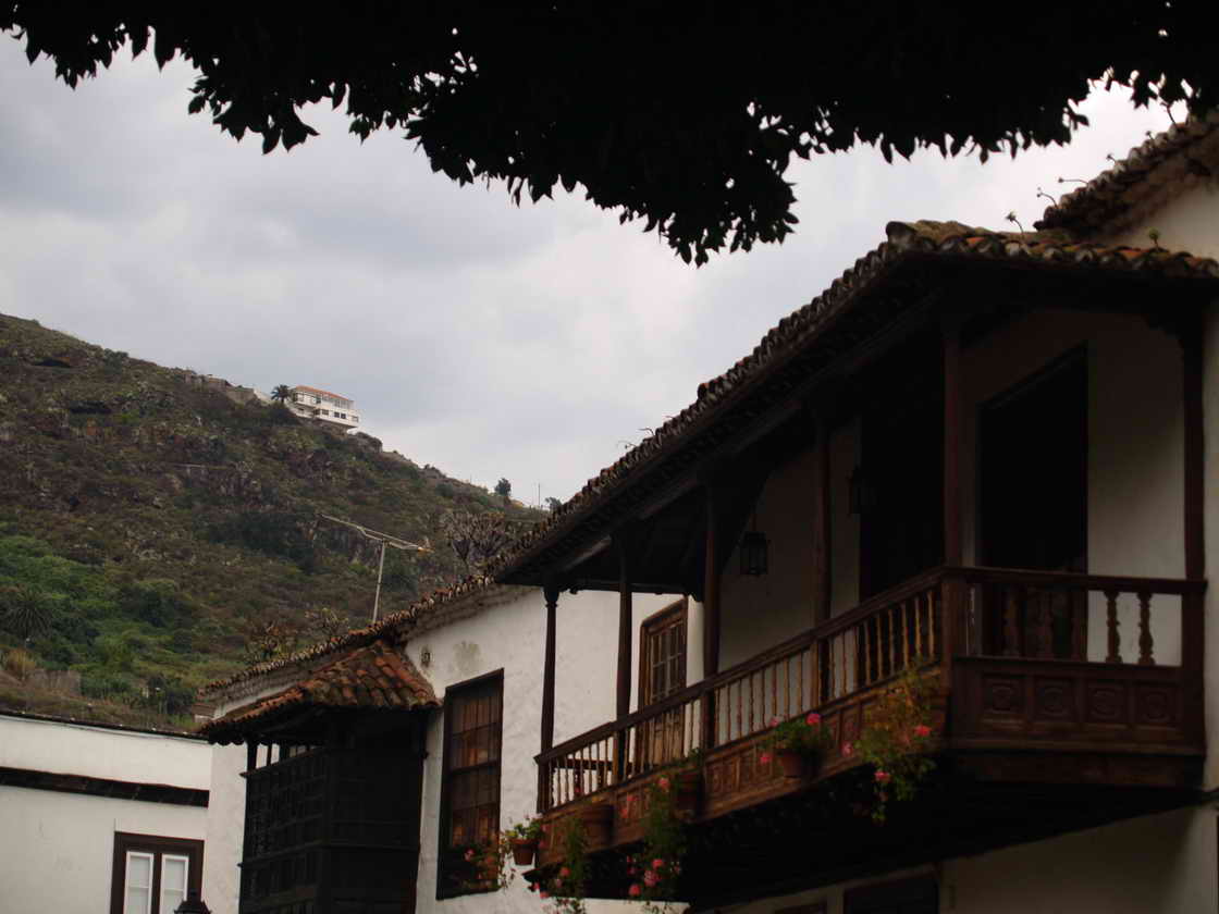 [PA312994.JPG]