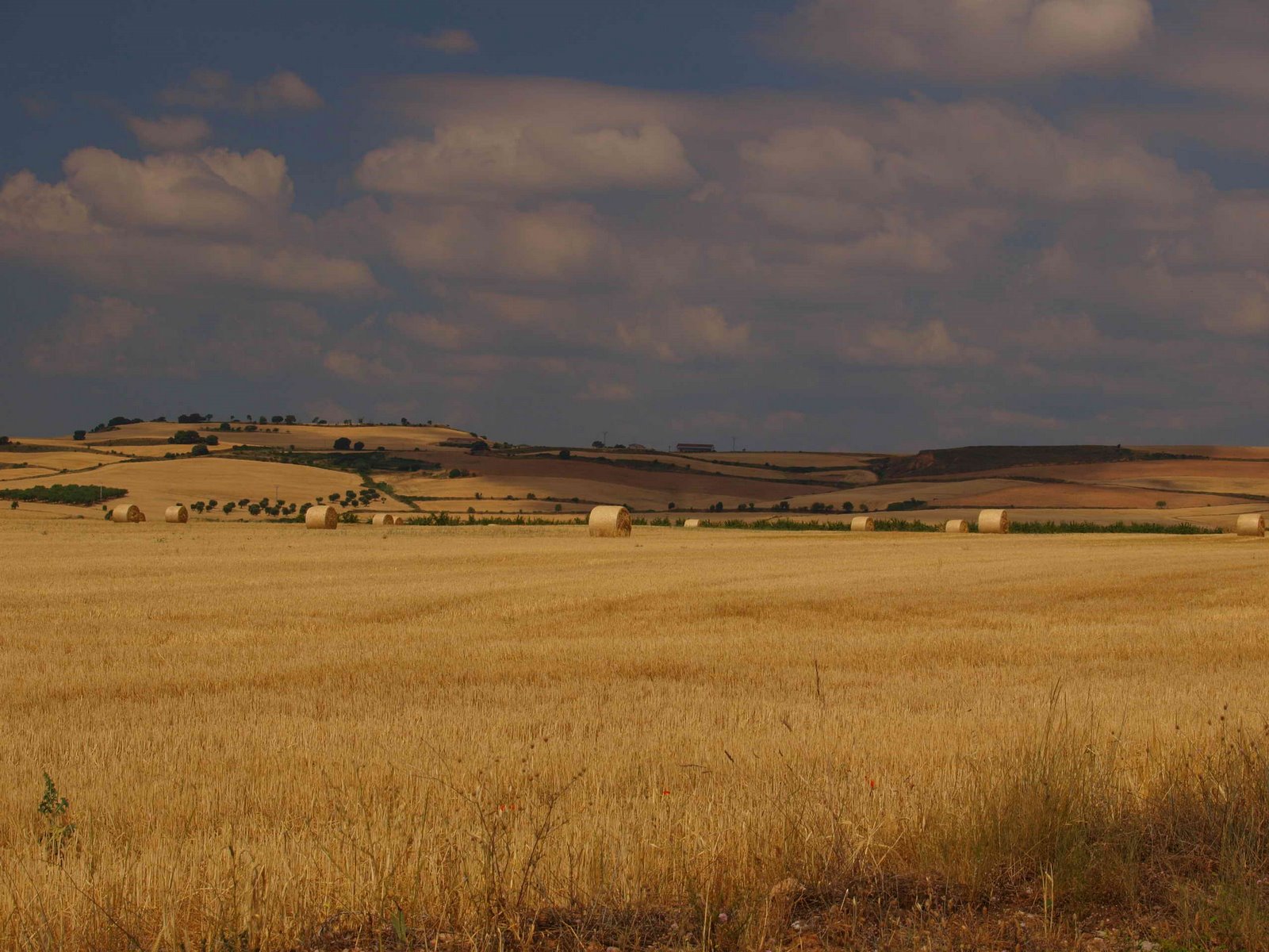 [P7051176.JPG]