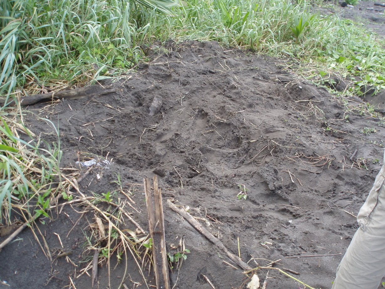 [P9040093.JPG]