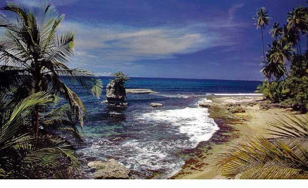 [MANZANILLO.jpg]
