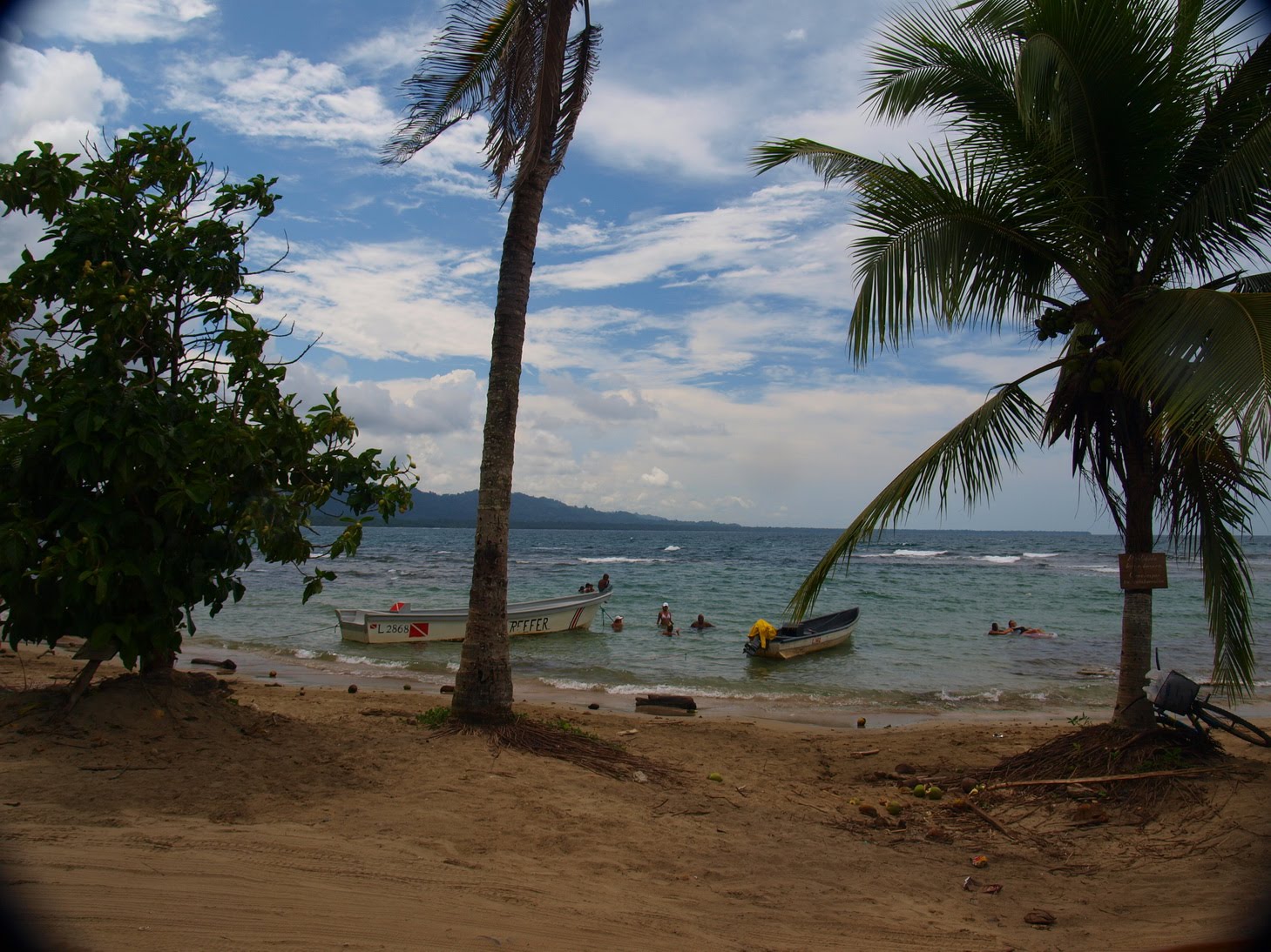 [P9061678.JPG]