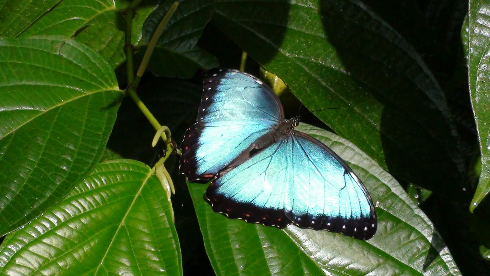 [DSC00047.JPG]