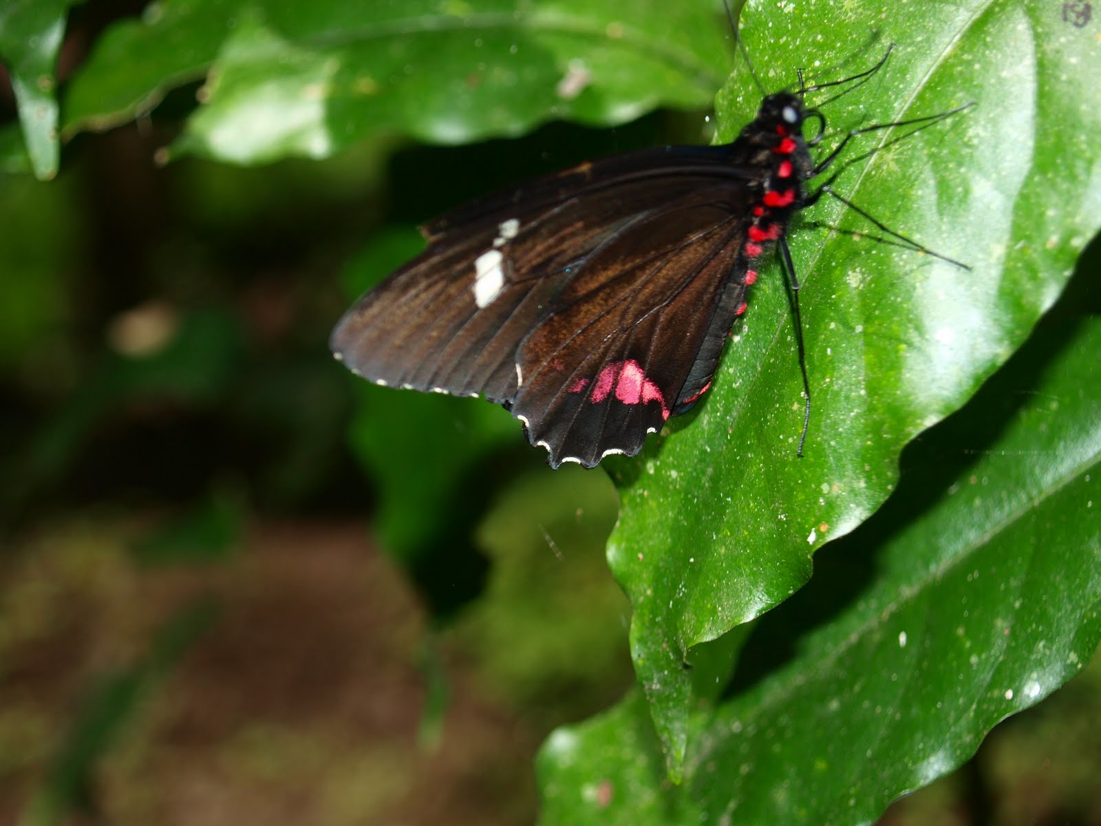 [P9092063.JPG]