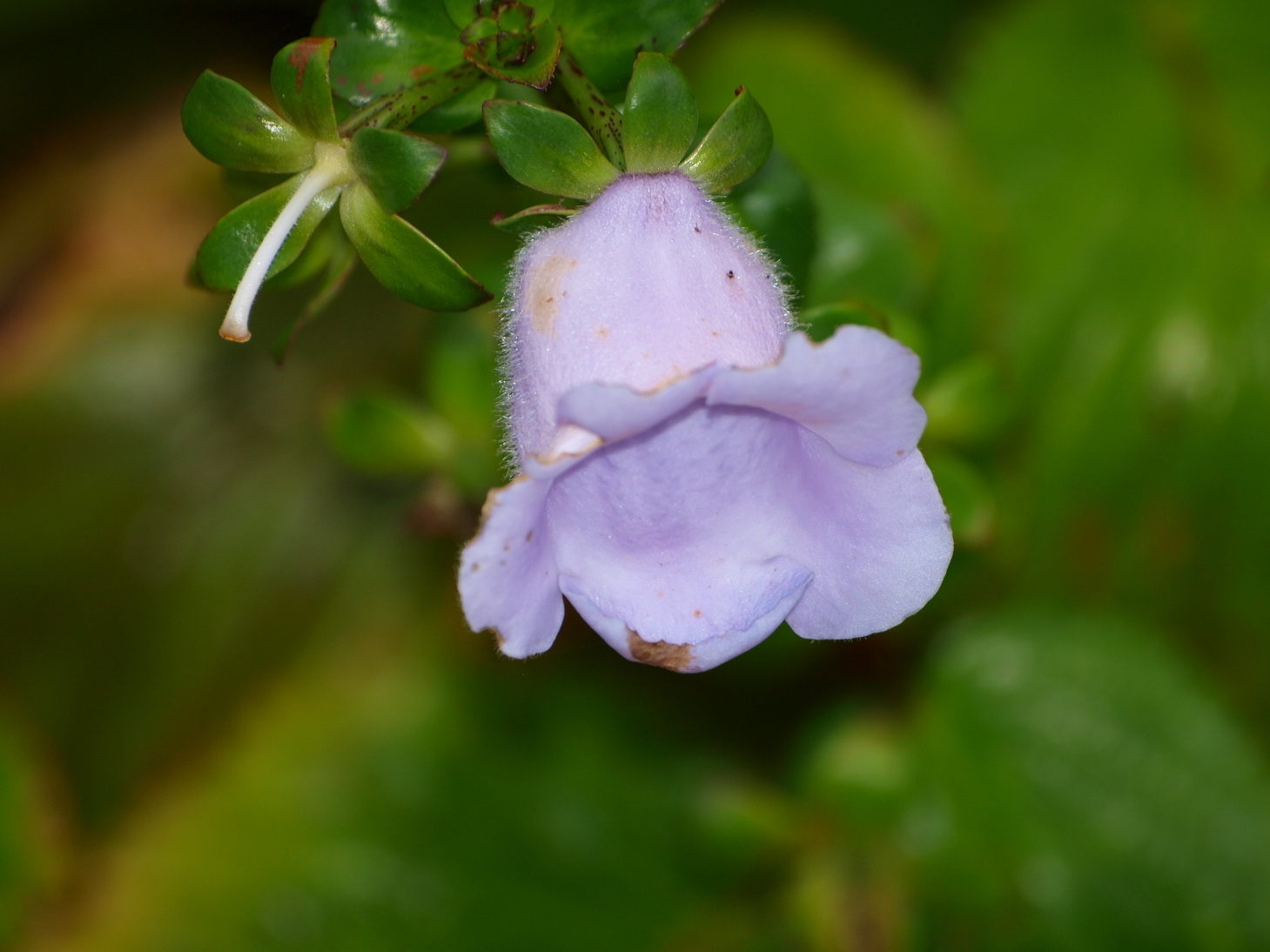 [P9112177.JPG]