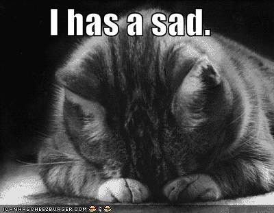 sad-cat.jpg