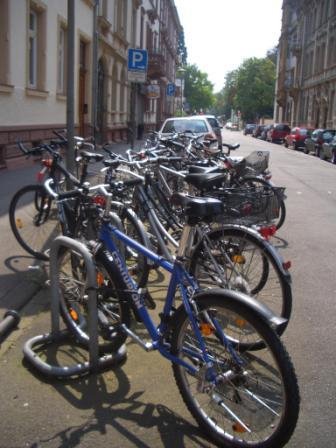 [bicicletas5.JPG]