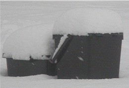 [2009+02+02+SNOW+5.jpg]