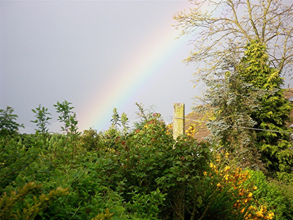 [2009+04+26+rainbow+3.jpg]