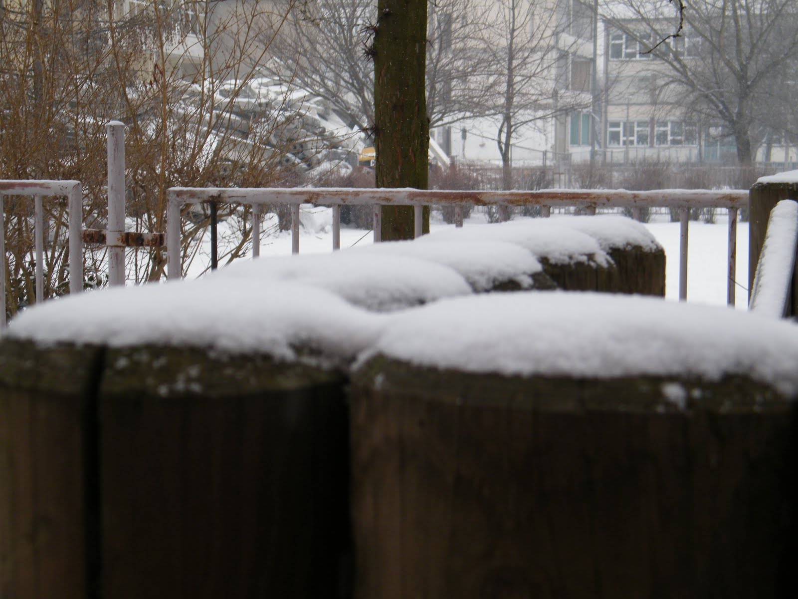 [Winter+3.JPG]