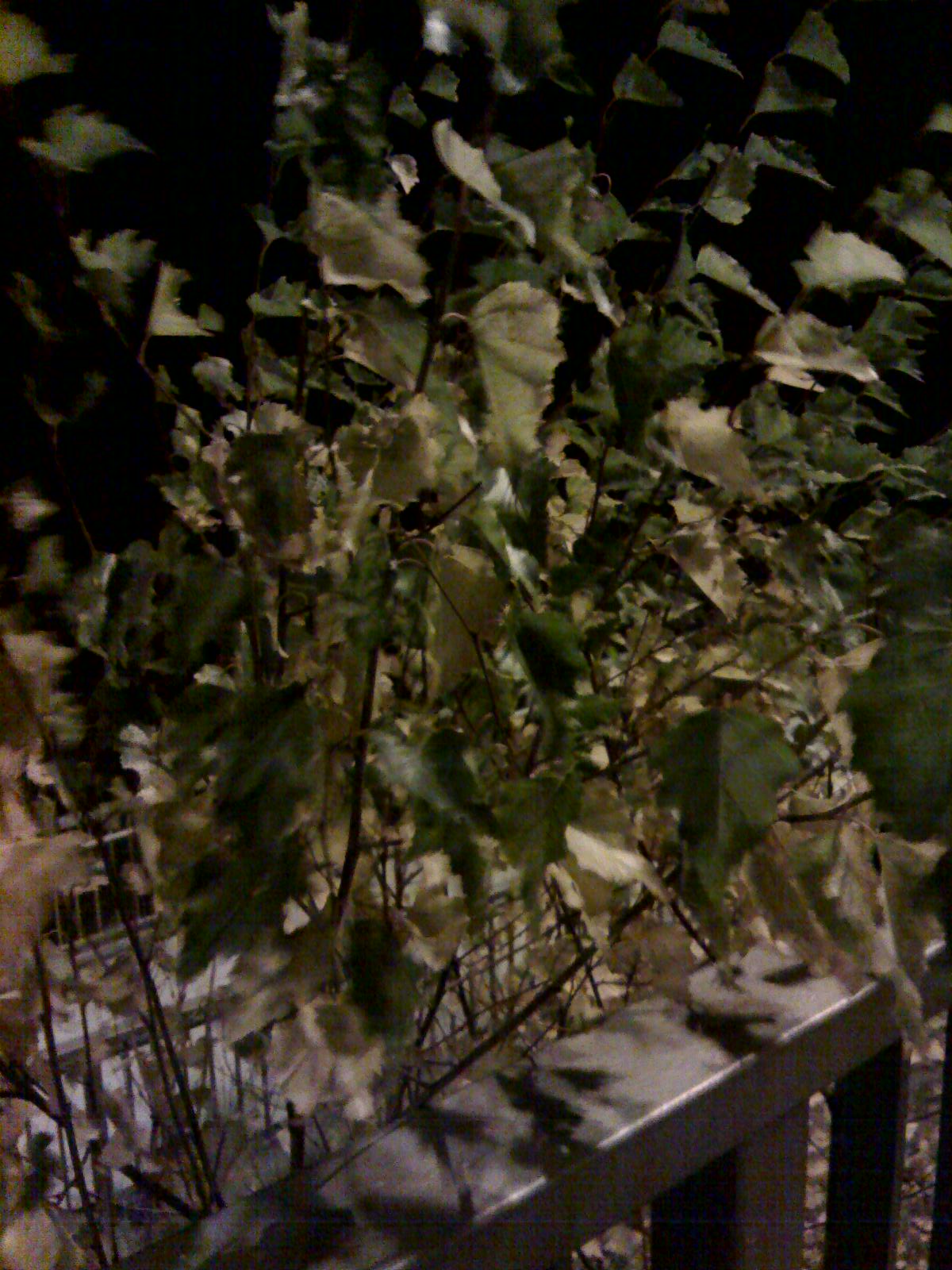 [13-12-09_0602.jpg]