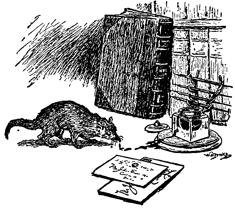 Rikki Tikki Tavi Plot Diagram