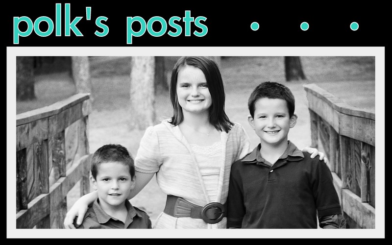 Polk's Posts