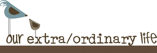 when an extraordinary life started
