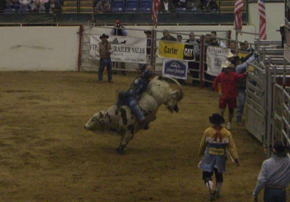 [2008-12+Bull+Riding-24a.jpg]