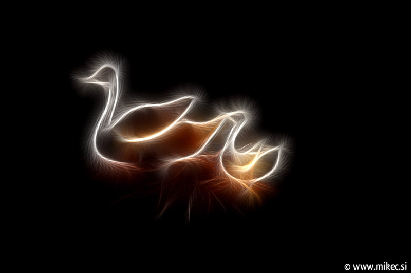 [fractal-art-ducks.jpg]