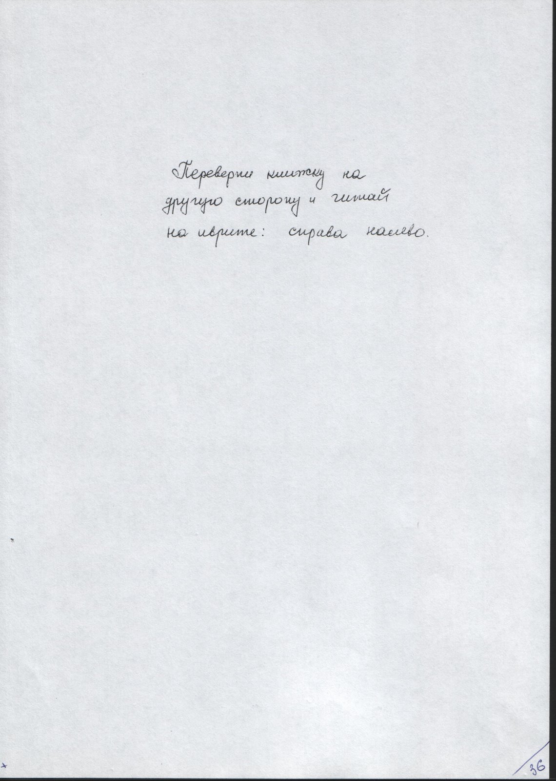 [ÐœÐ¾Ð¹ÐšÐ¾Ñ‚Ð¡Ð°Ð¿Ð¾Ð³+044.jpg]