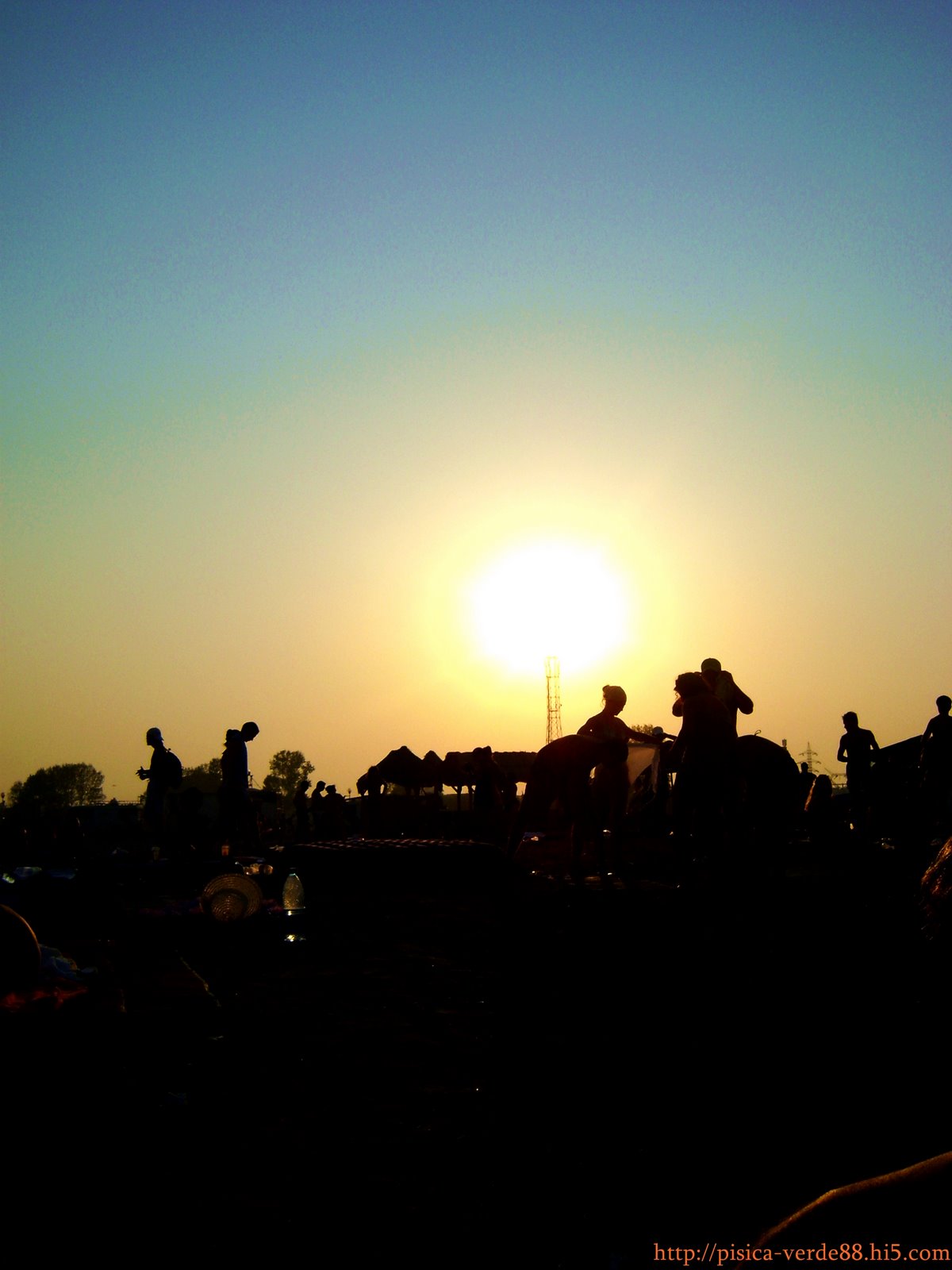 [DSC03689.JPG]