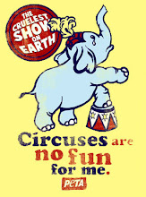 Circuses are no fun for me