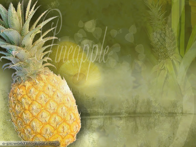 pineapple fruit wallpaper
