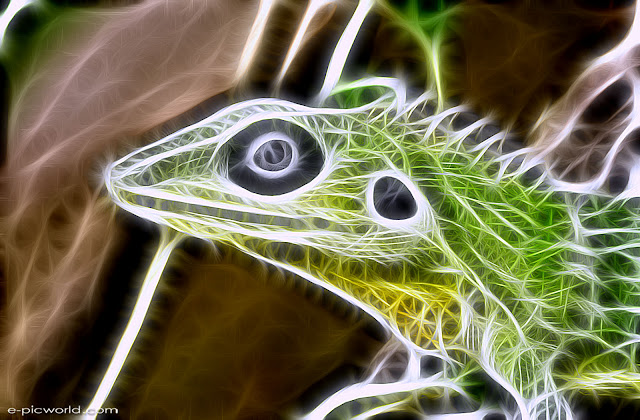 Fractals from photos wallpaper