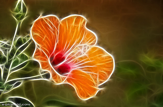 Fractals from photos wallpaper
