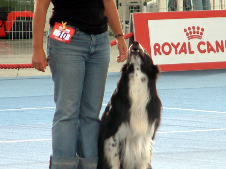 [junto-senta.jpg]