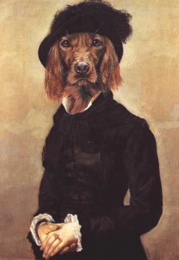 [IrishSetter-F.jpg]