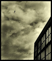 http://www.flickr.com/photos/frawis/521161994/