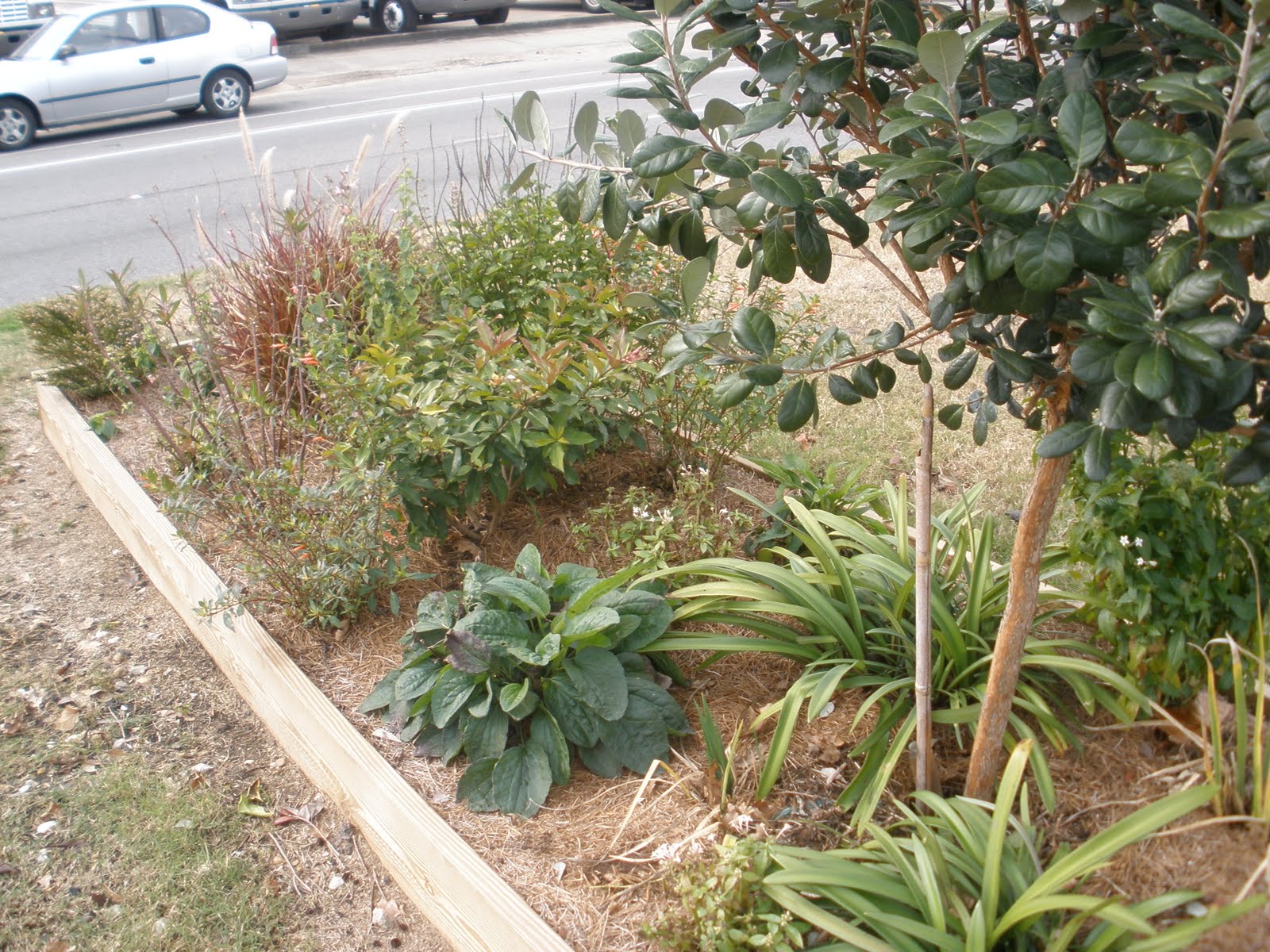 [garden2.jpg]