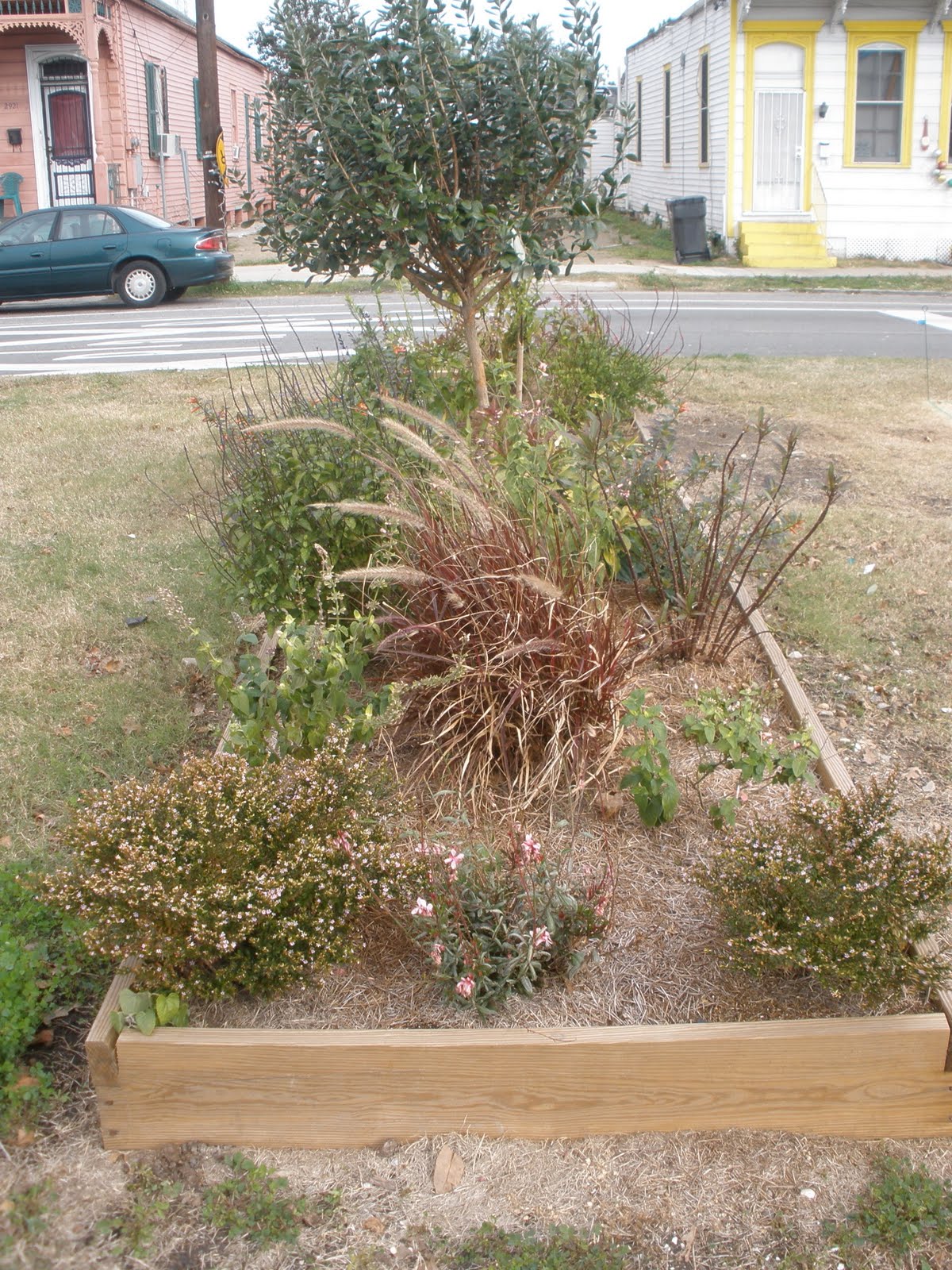 [garden3.jpg]