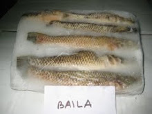 BAILA