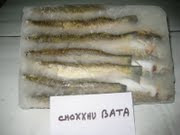 BATA