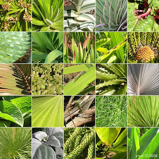 botanic green botanic green